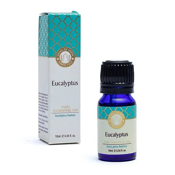 Ätherisches Eukalyptusöl Song of India -- 10 ml
