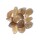 Citrin natur Trommelsteine in AA-Qualit&auml;t -- &plusmn;500g; &plusmn;3x4cm