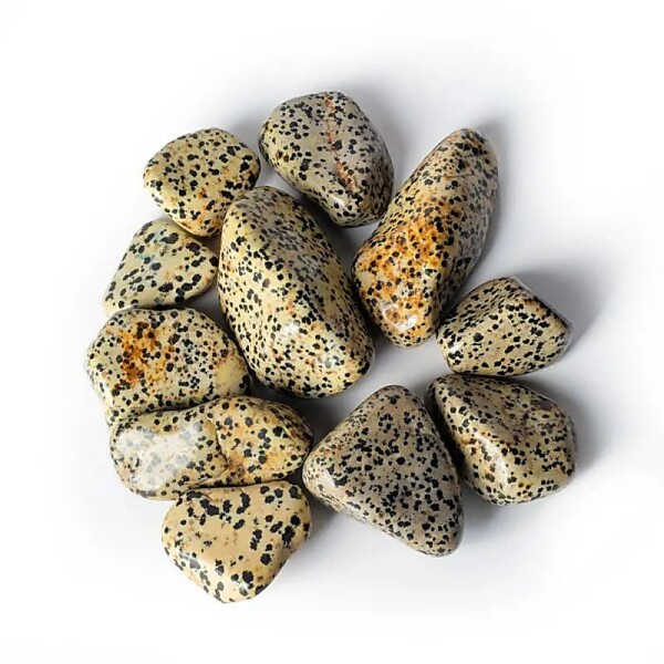 Dalmatiner Jaspis Trommelsteine A- Qualität -- ±3-8cm; ±500g