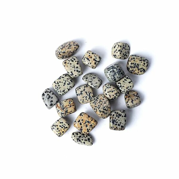 Dalmatinischer Jaspis Trommelsteine A Qualität -- ±1,5-3,5cm; ±250g
