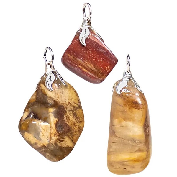 Edelsteinanhänger Versteinertes Holz --±1.5-3cm