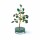 Edelsteinbaum gr&uuml;ner Aventurin -- &plusmn;8cm