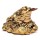 Feng Shui Frosch Gl&uuml;cksbringer goldfarbig -- 5 x 3.5 cm
