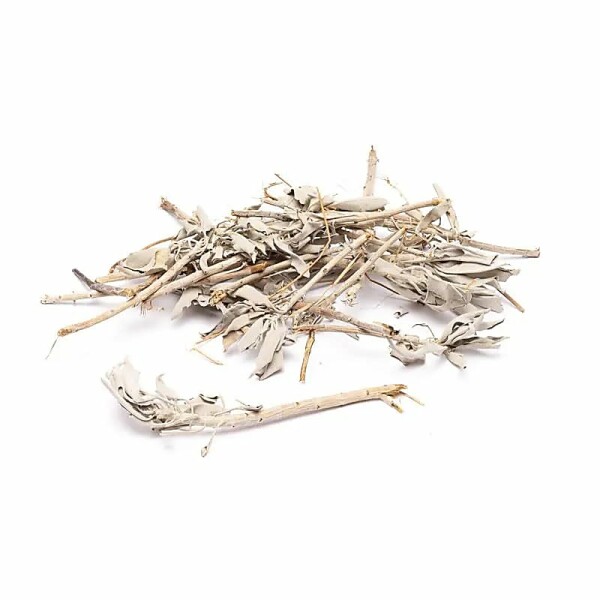 Grobe Weiße Salbei (Salvia apiana) -- ±1kg