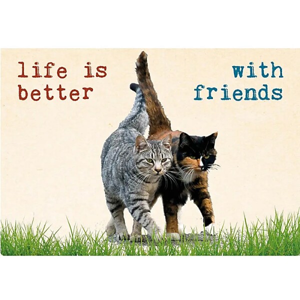 Postkarte Life is better.. -- 15x10.5 cm