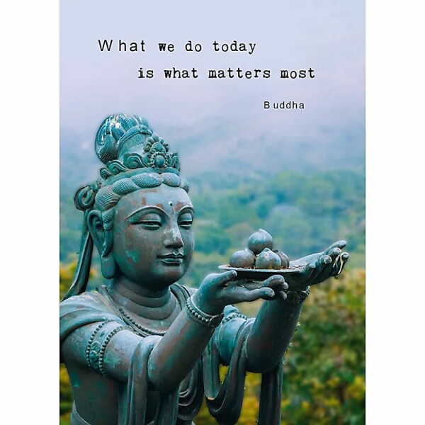 Postkarte What we do today.. -- 15x10.5 cm