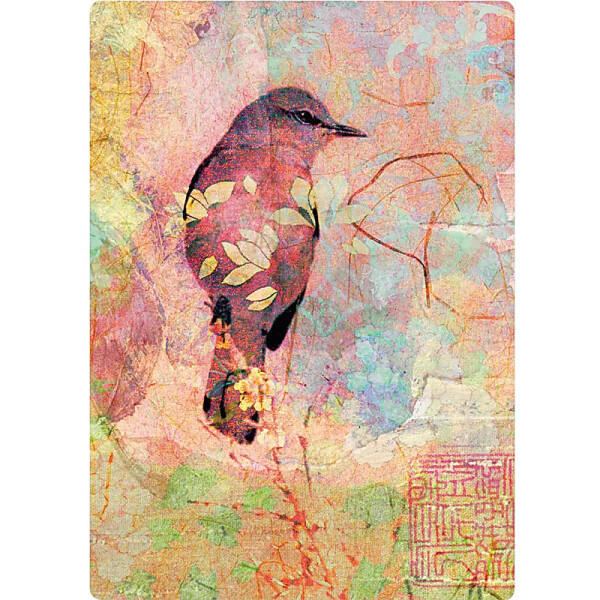 Postkarten Vogel -- 10.5x15 cm