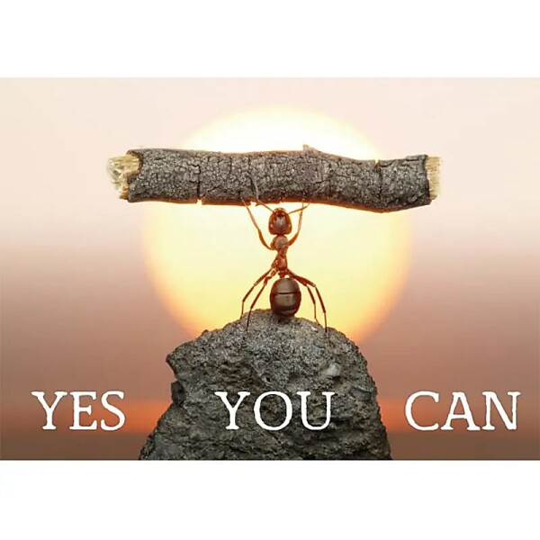 Postkarten Yes you can -- 15x10.5 cm
