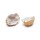 Quartzdruse -- &plusmn;3-6cm