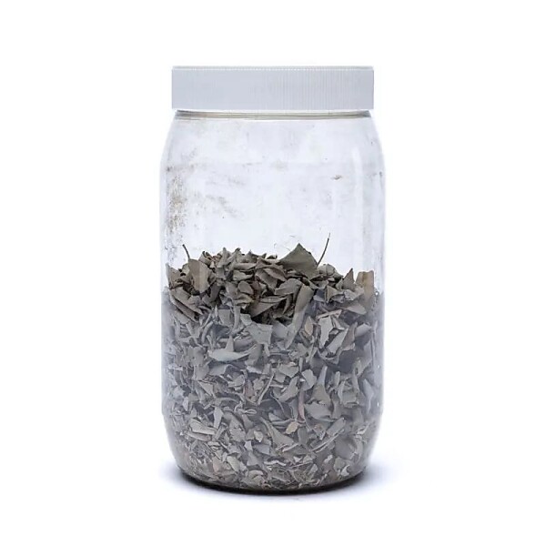 Räucherware Weißer Salbei (Salvia Apiana) -- 100 g