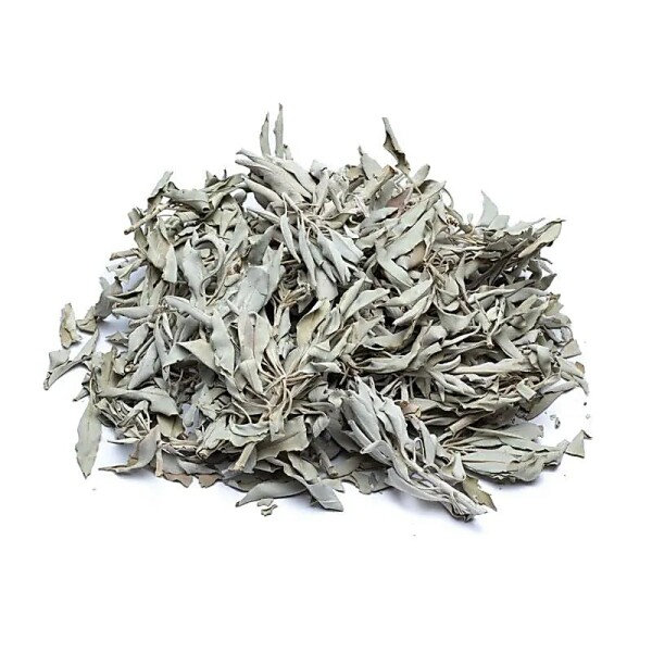 Räucherware Weißer Salbei lose (Salvia Apiana) -- 500 g