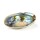 Regenbogen Abalone (Paua) Haliotis Iris -- 12.5 - 15.5 cm