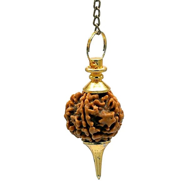 Rudraksha Pendel goldfarbig -- 10 g; 4.5 cm
