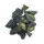 Serpentinit roh -- &plusmn;3-8cm; &plusmn;1000g