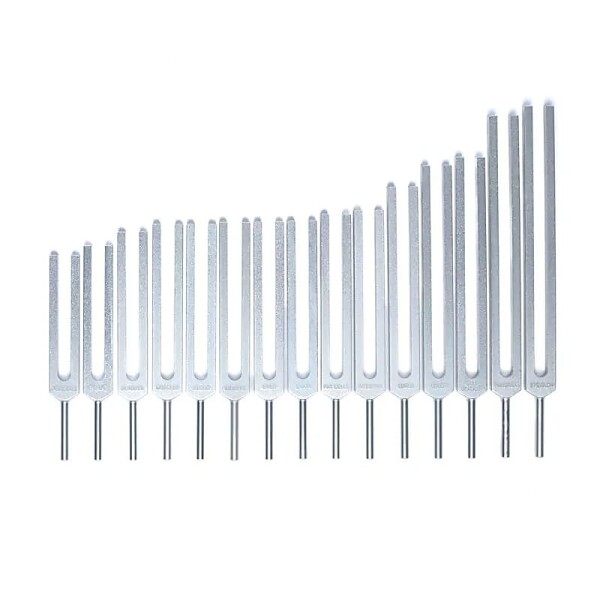 Stimmgabel-Set Menschliche Organe -- 69x29 cm