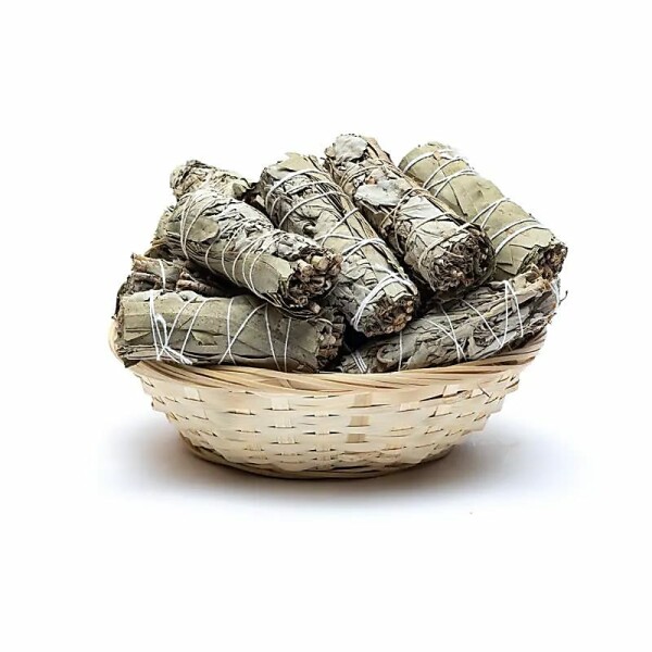 Weißer Salbei Smudge mit Eukalyptus S pro 24 Stück im Korb -- ±10–11 cm; ±25-35 g