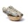Wei&szlig;er Salbeib&uuml;ndel XL pro 6 St&uuml;ck im Korb -- &plusmn;115 g; &plusmn;23x5.5 cm